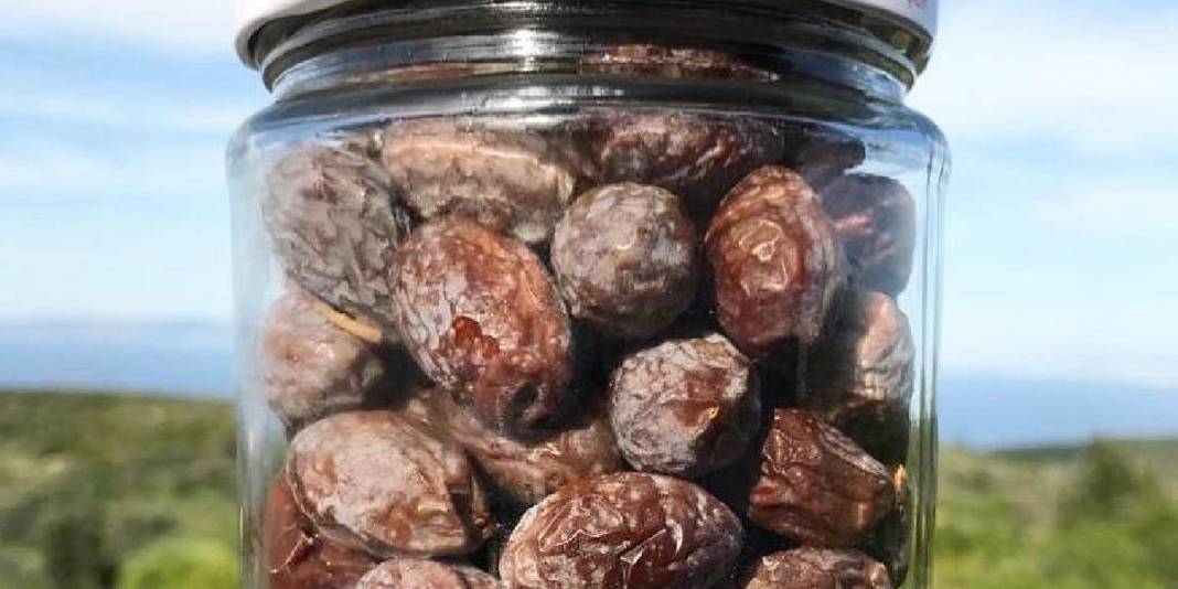 Doğanın sunduğu lezzet özenle toplanıyor! Özel Furma Zeytininde hasat heyecanı: İşlem görmeden, tazecik tüketiliyor 5